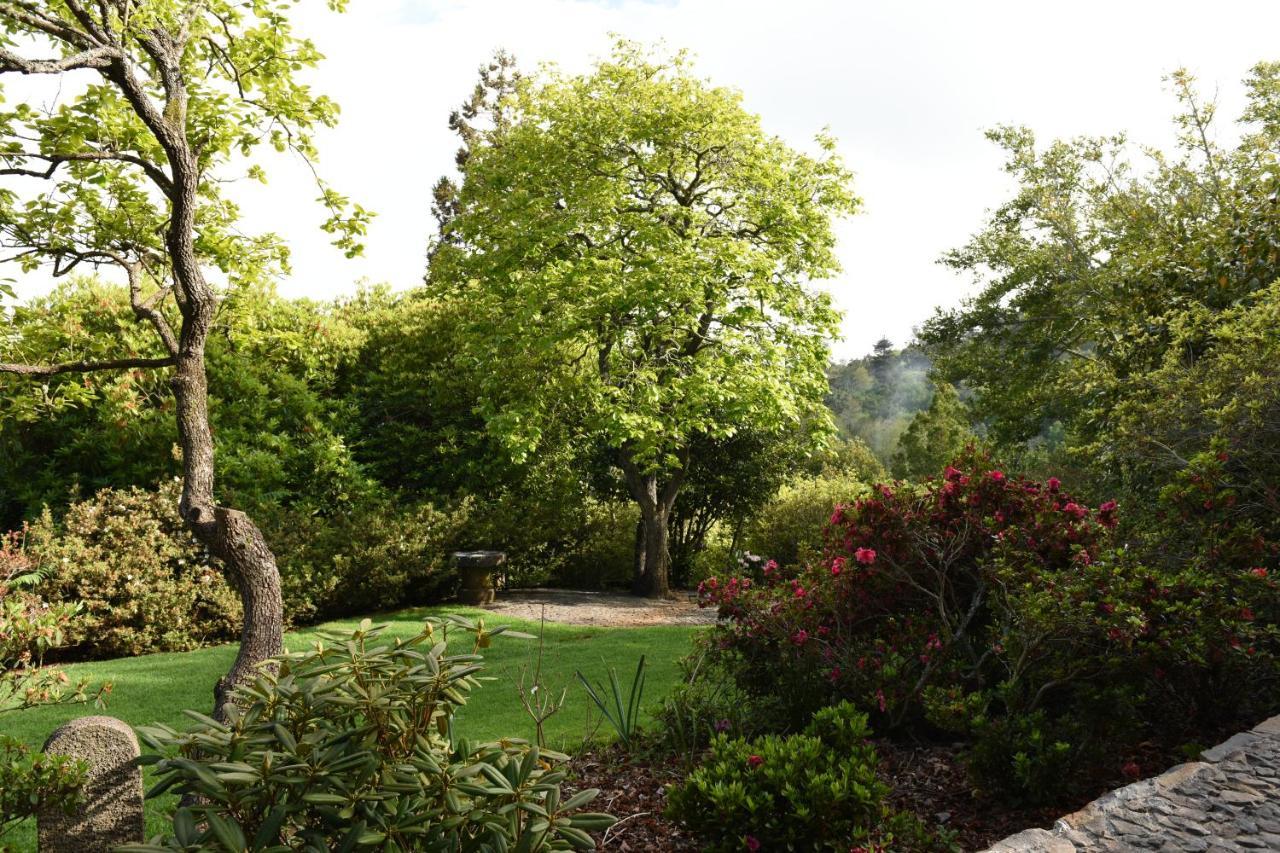 Vakantieboerderij Casas De Pedra *